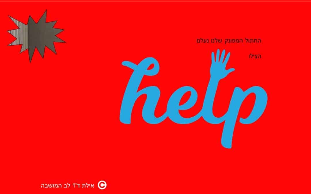 חפש את החתול