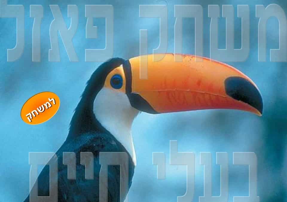 פאזל בעלי חיים