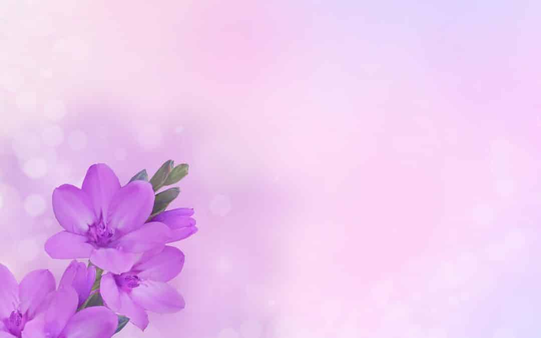 בנות צלפחד במדבר פרק כ"ז.